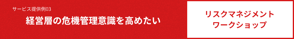 サービス提供例03 経営層の危機管理意識を高めたい リスクマネジメントワークショップ