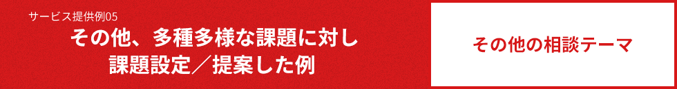 サービス提供例05 その他、多種多様な課題に対し課題設定/提案した例 その他の相談テーマ